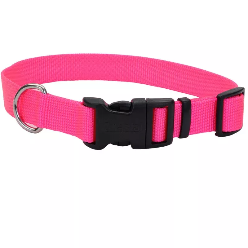 Neon Pink Dog Collar - Adjustable Nylon Collar