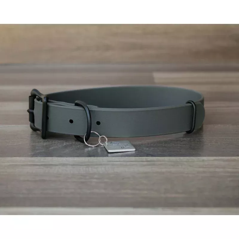 Onyx Granite Buckle Collar No