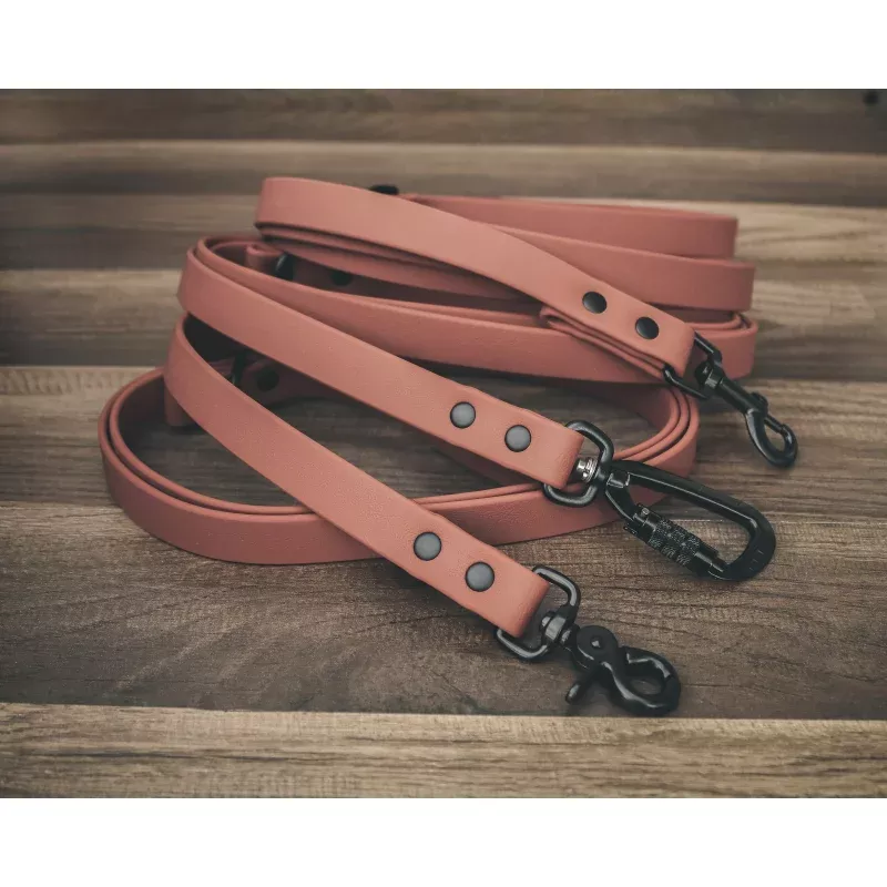 Onyx Sienna Leash