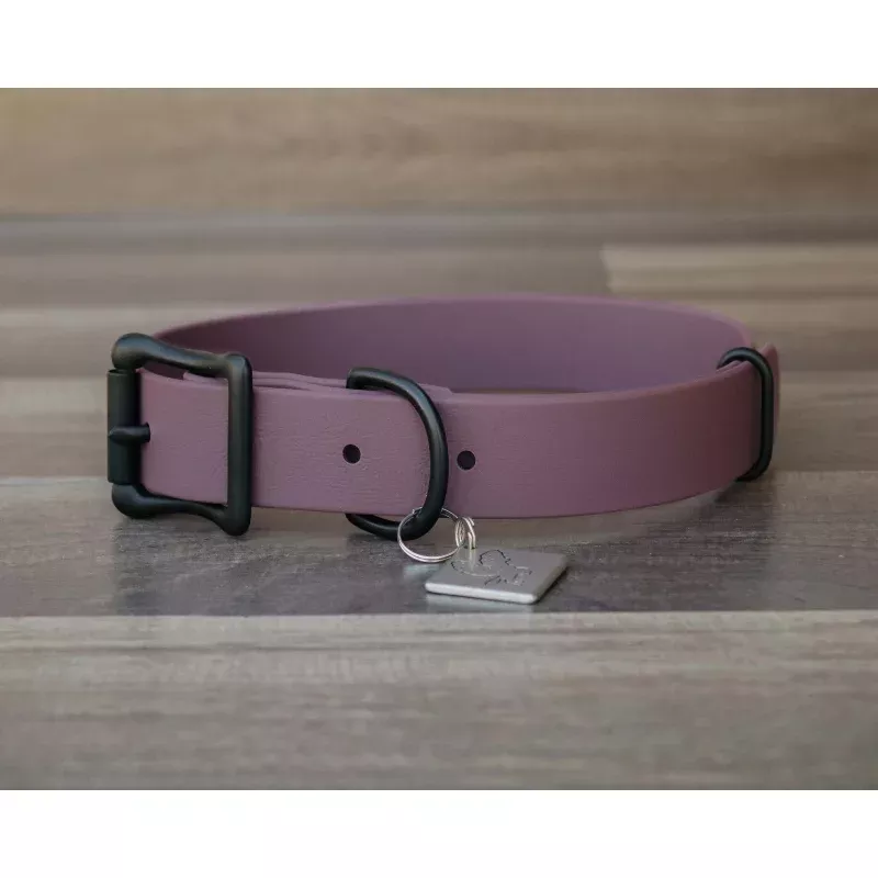 Onyx Wisteria Buckle Collar No