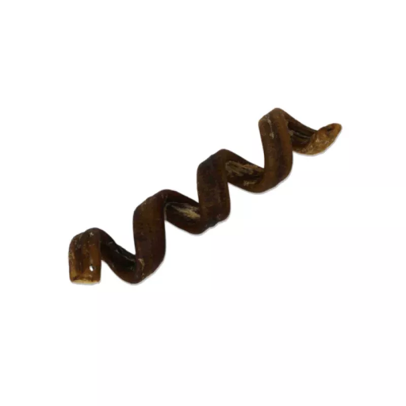 Open Range Water Buffalo Bully Spiral 6-7"