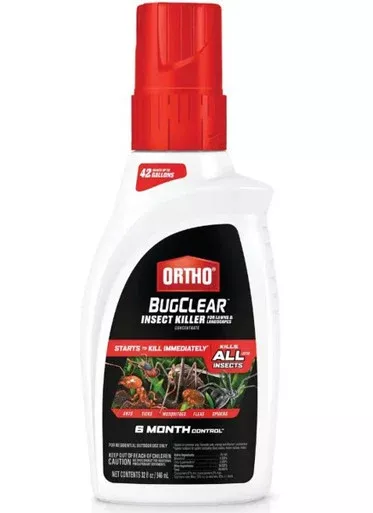 Ortho BugClear Insect Killer 6-Month Control- 32oz