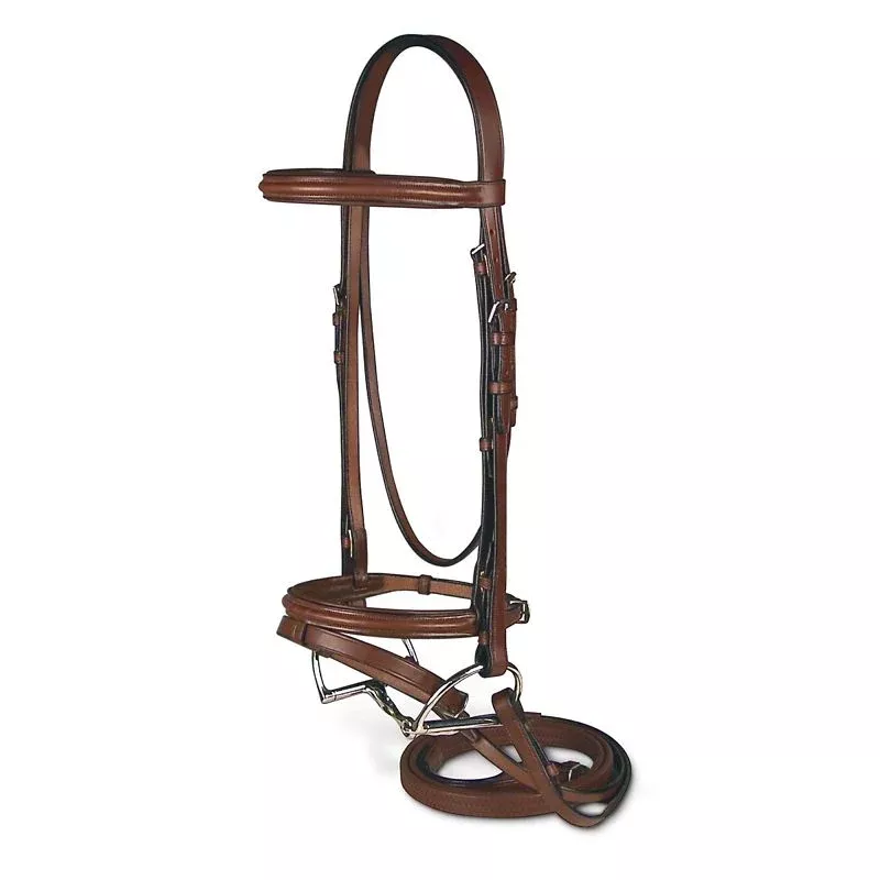 Passport Raised and Padded Bridle with Flash