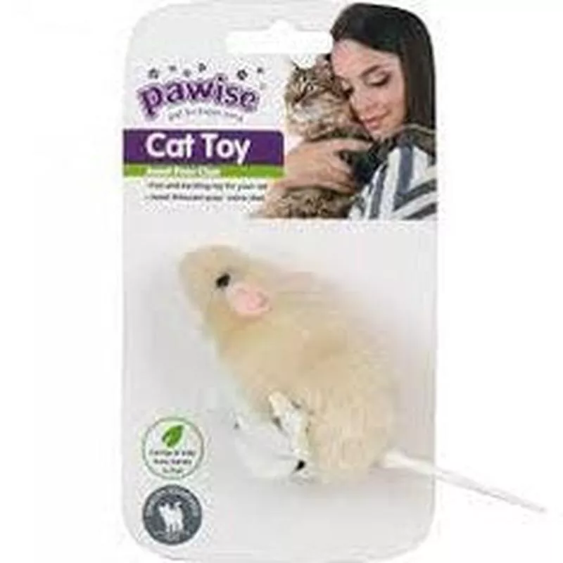 Pawise Cat Moving Mouse