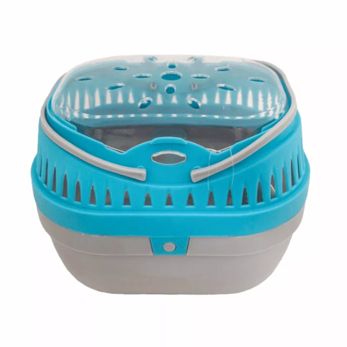 Pawise Small Pet Carrier