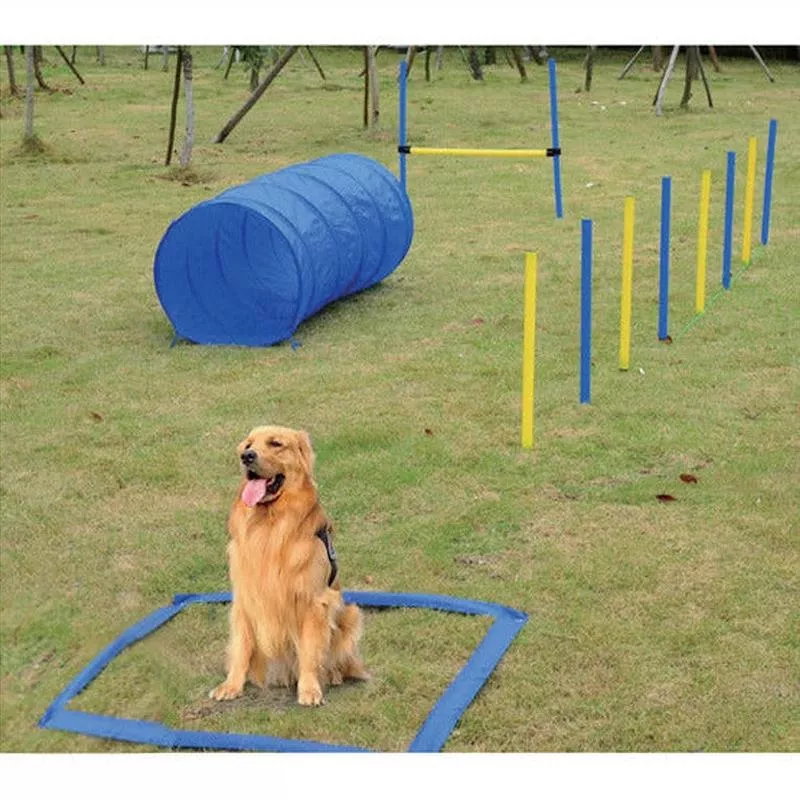 PAWISEdog training set