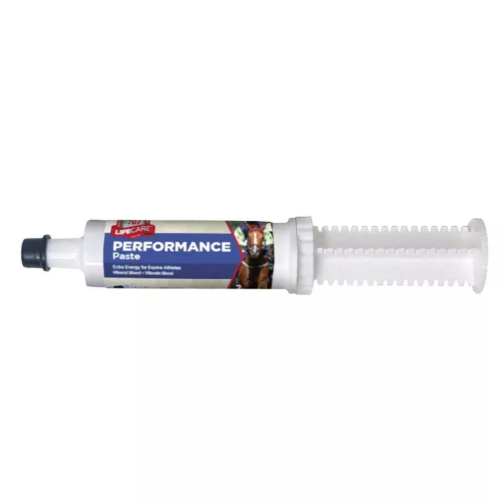 PERFORMANCE PASTE