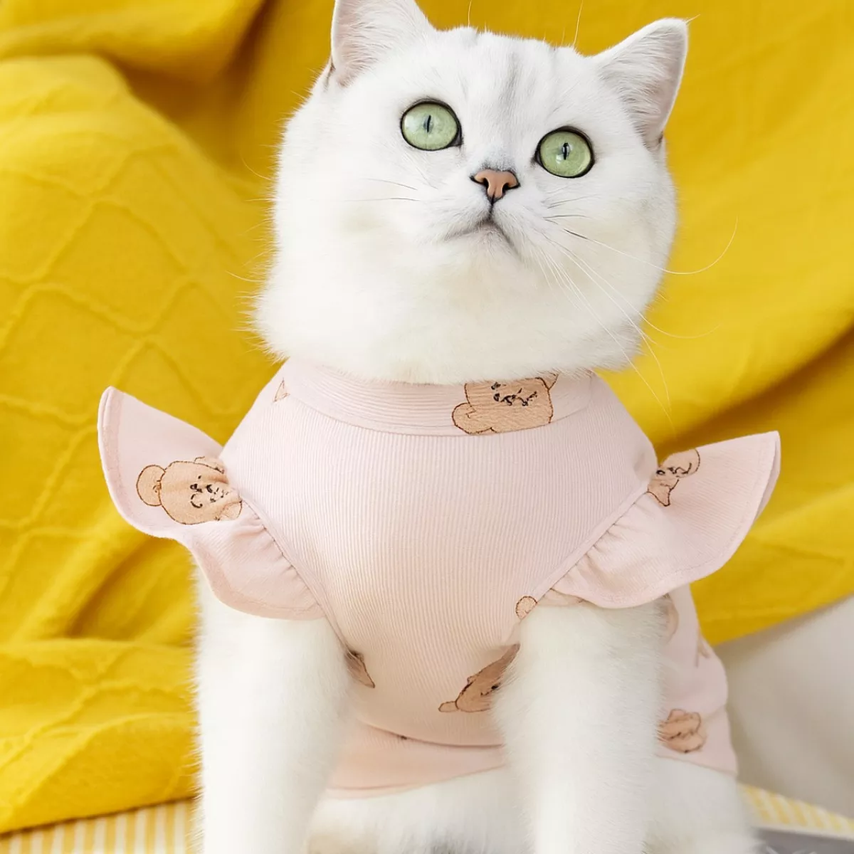 Pet Clothes Powder Brown