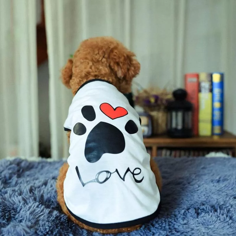 Pet Clothes Type 4