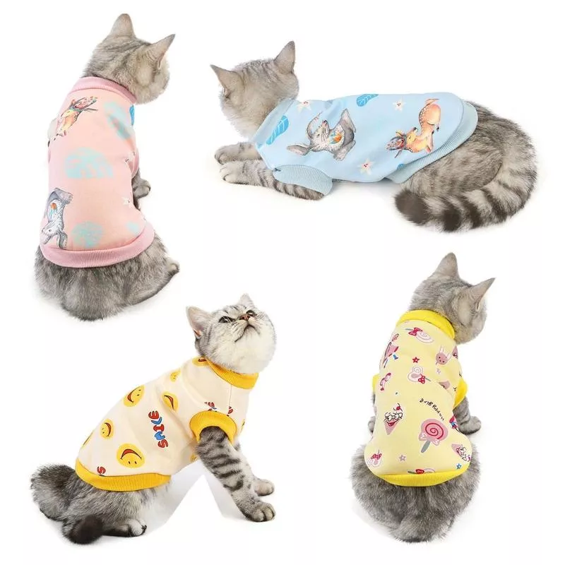 Pet Clothes Type 7
