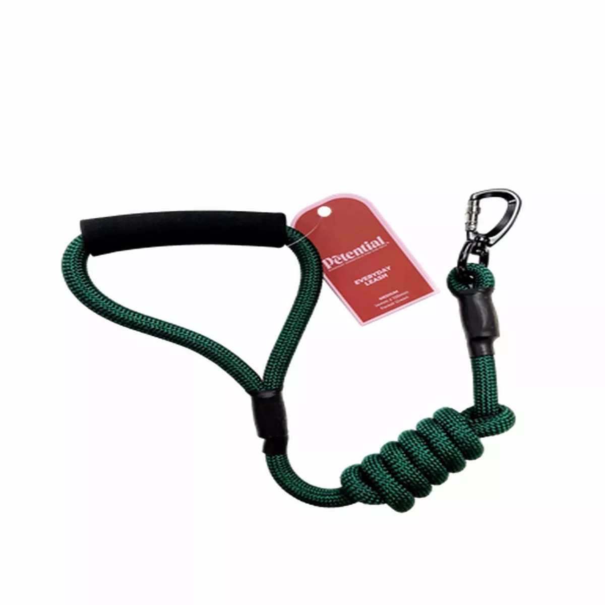 Petential Everyday Dog Leash Green