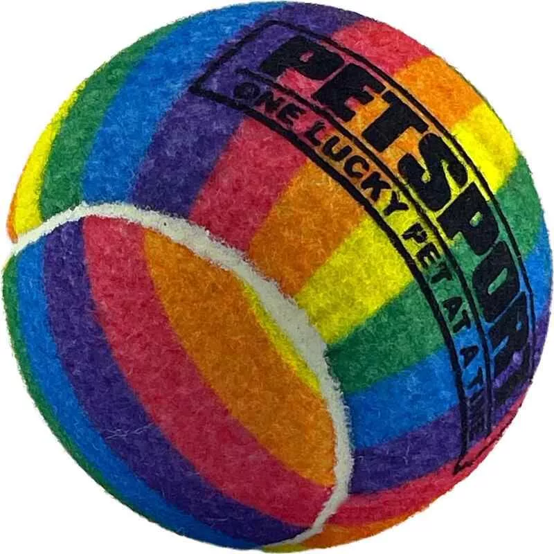 PetSport Rainbow Squeak Ball 4″ Single