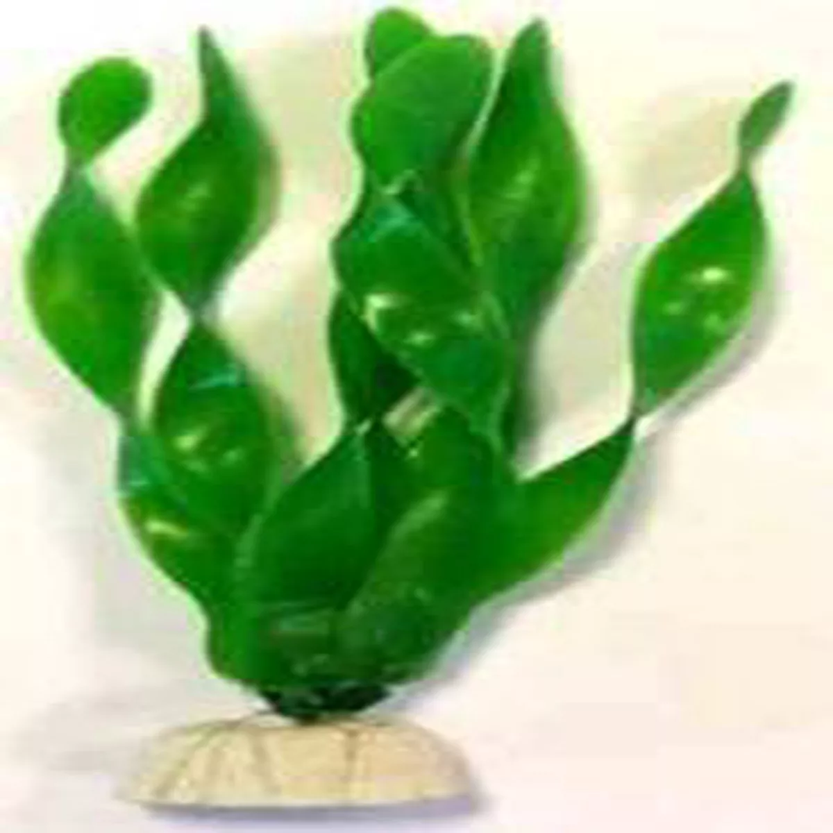 PLASTIC PLANT AP 014