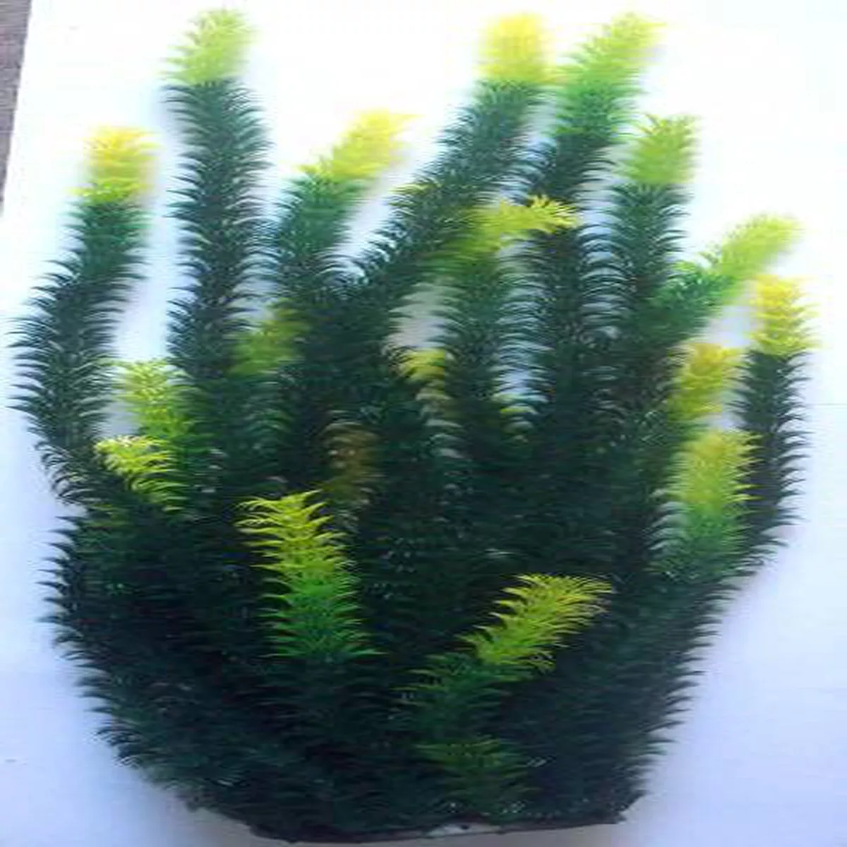 PLASTIC PLANT DARK GREEN 80cm