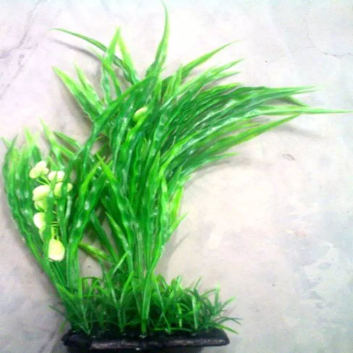 PLASTIC PLANT SEAWEED