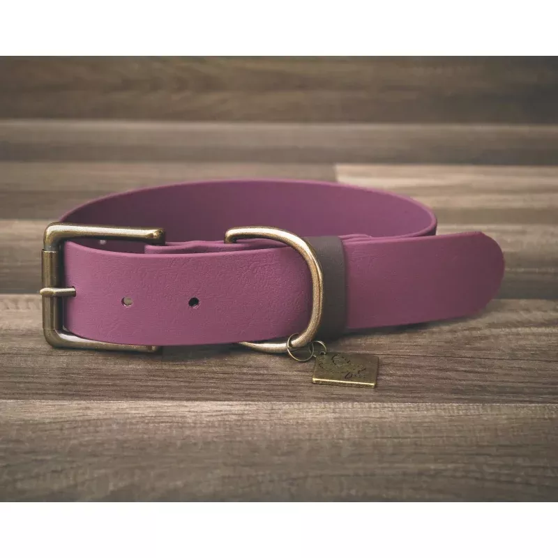 Plum Buckle Collar 1.5" Jett