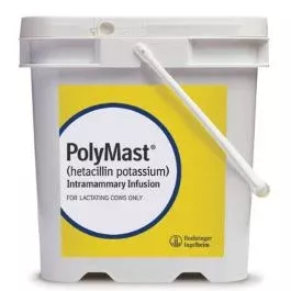 PolyMast (144 Count)