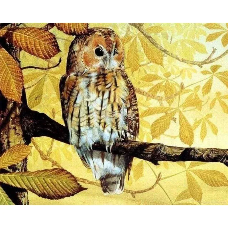 Pretty owl – Transform Your Backyard into a Wildlife Oasis for All Creatures