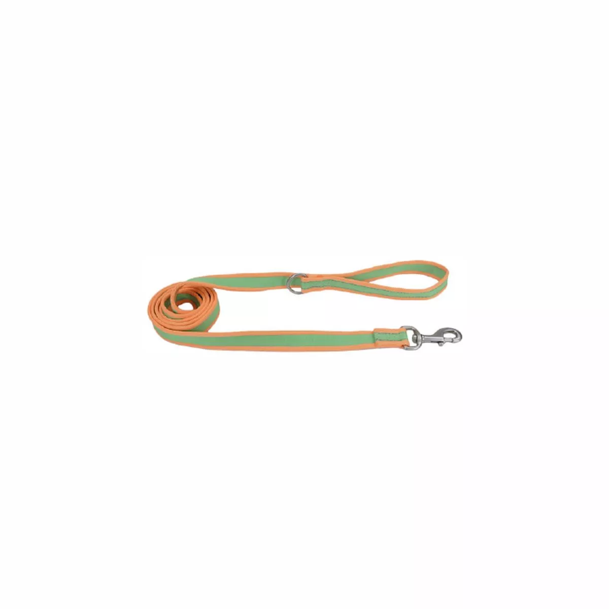 Pro Nylon Leash, Lime Orange