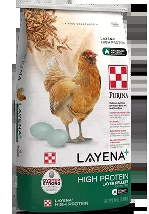 Purina Layena + High Protein Layer Feed