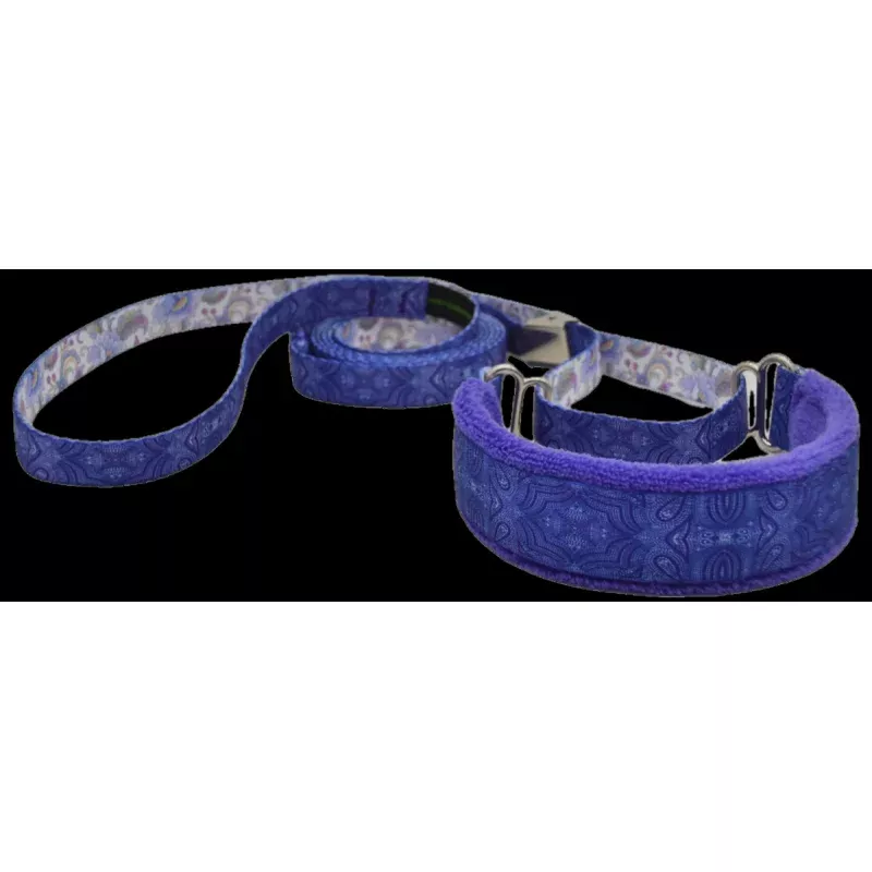 Purple Pinpoints Everyday Martingale Walking Lead