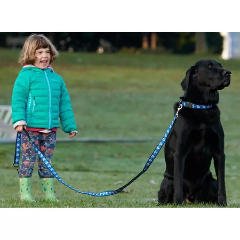 RC Pattern Dog Leash 1'X6' TARTAN TAN
