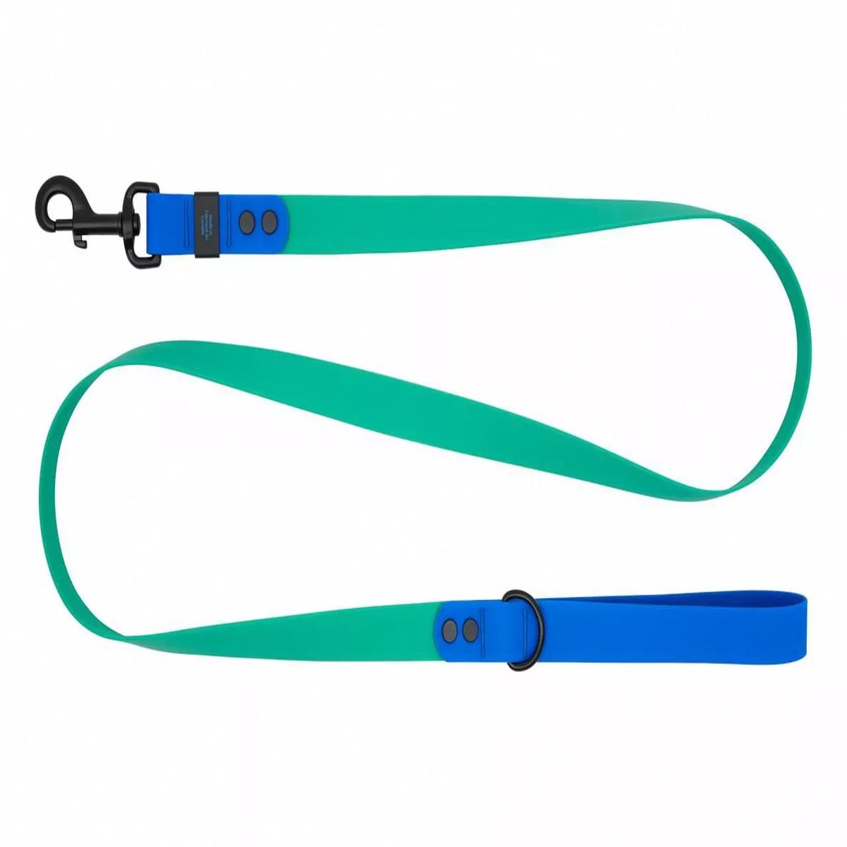 RC Pets Waterproof Dog Leash, Parakeet/Sapphire