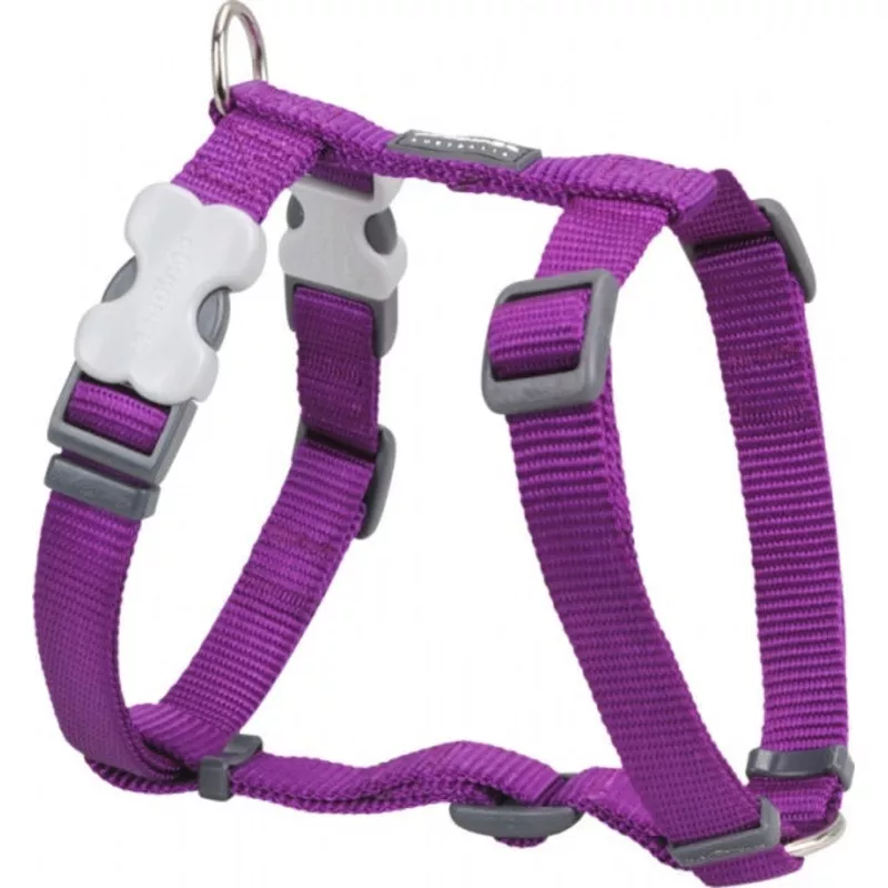 Red Dingo Harness Purple Large 25mm