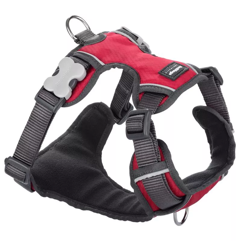 Red Dingo Padded Harness Red XS