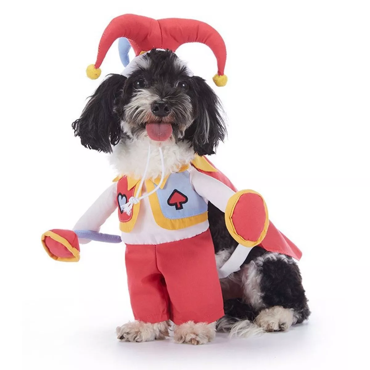 Red Peach Clown Pet Clothes Rose