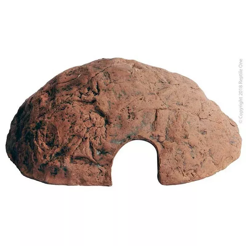 Reptile One – Hide Cave