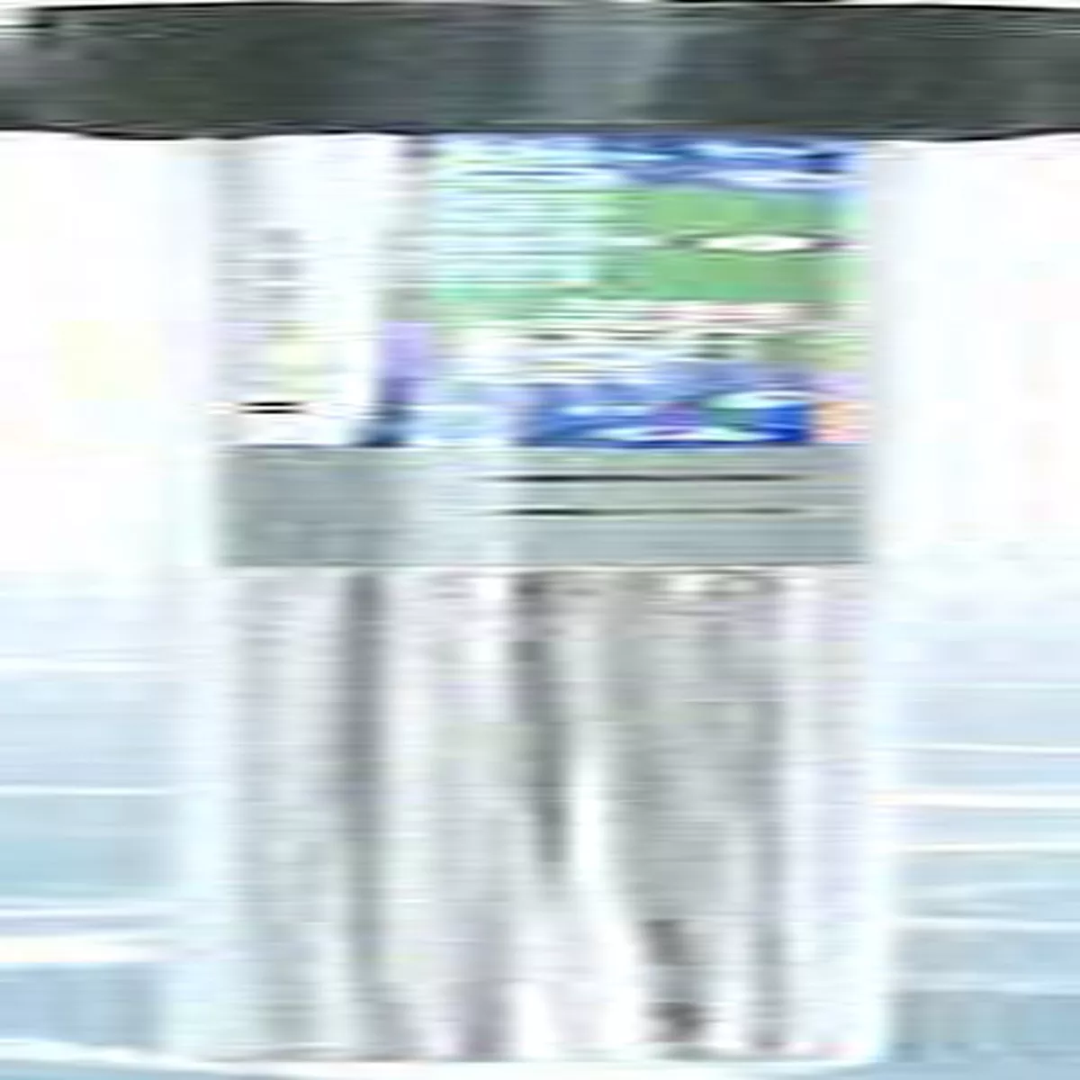 RS-530 THERMOSTATS