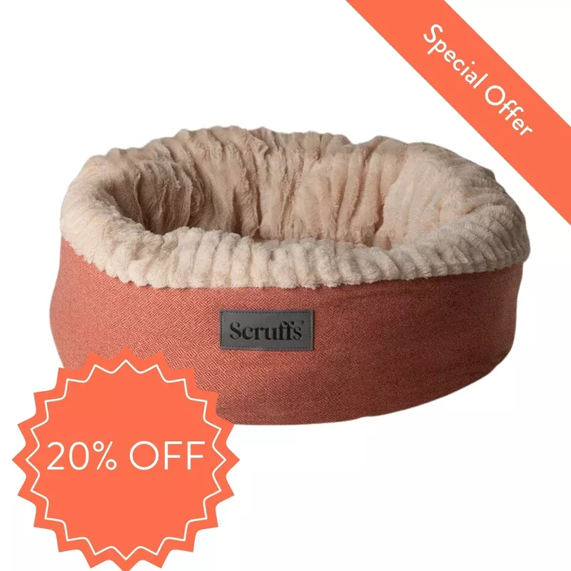 (RTC) Scruffs – Ellen Donut Dog Bed