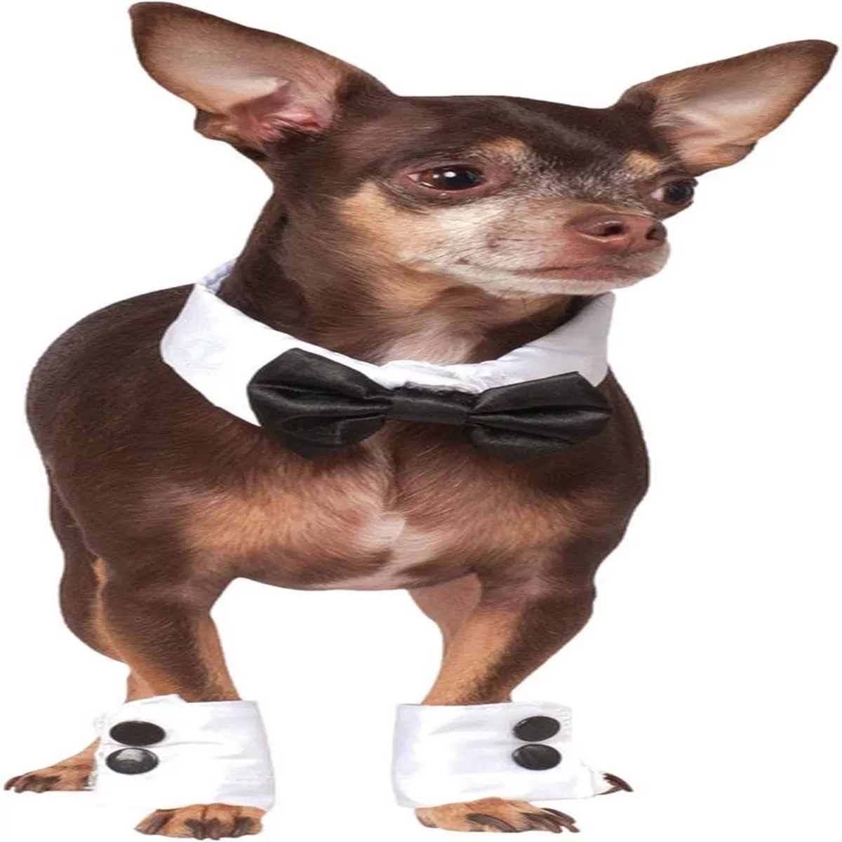 Rubie's Bowtie and Cuff Pet Costume
