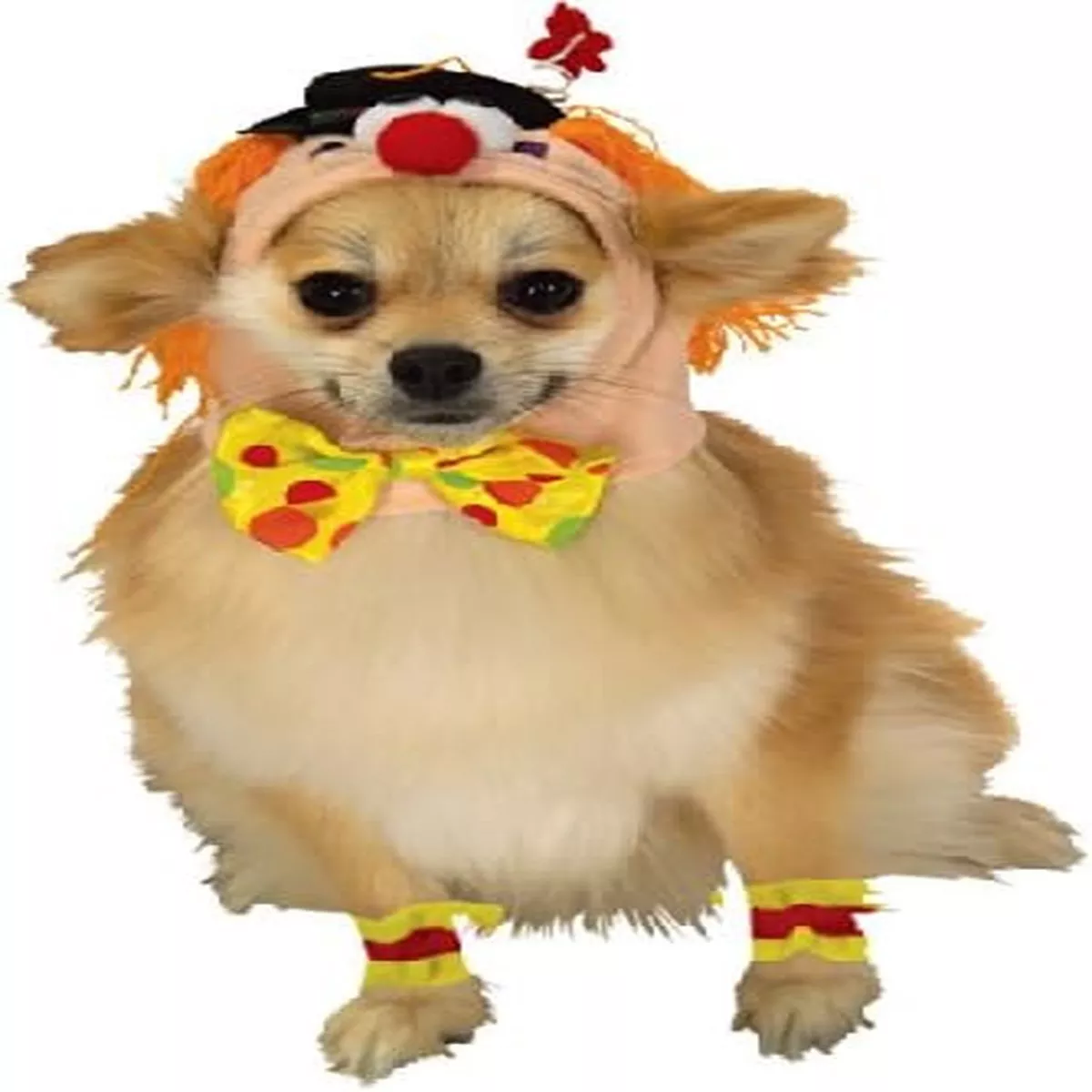 Rubie's Clown Set Pet Costume
