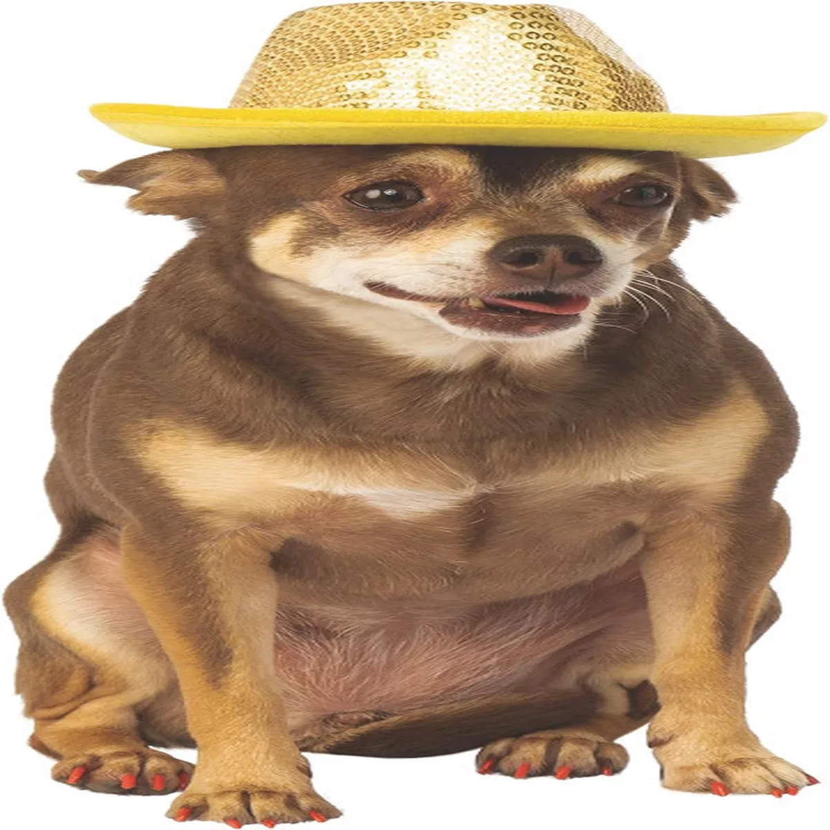 Rubie's Gold Sequin Fedora Pet Costume