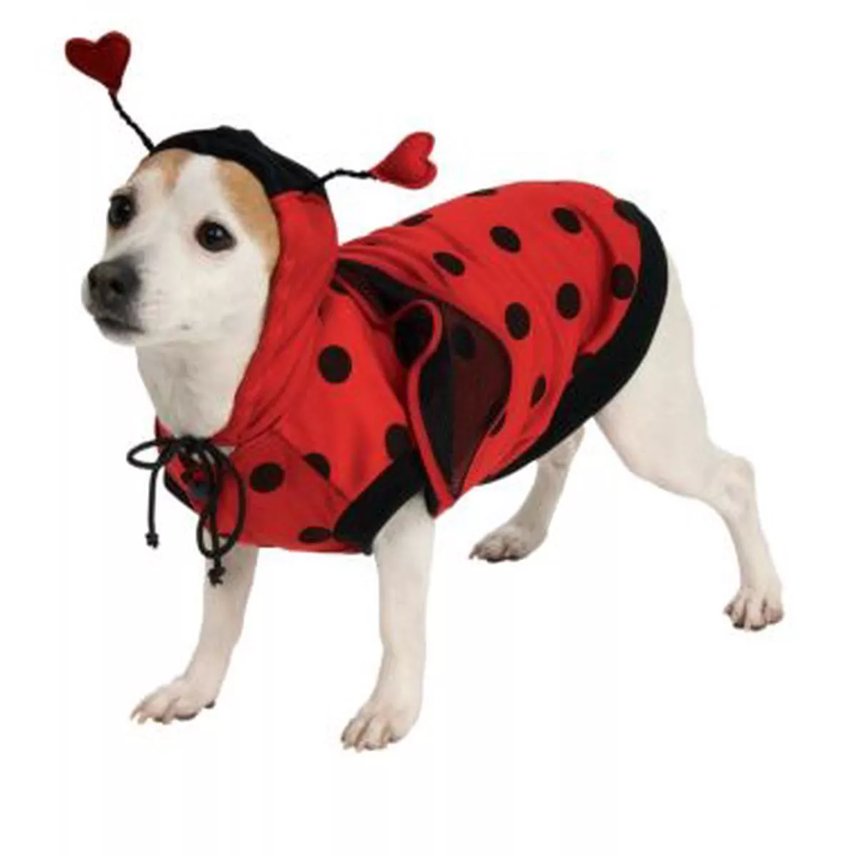 Rubie’s Lady Bug Pet Costume