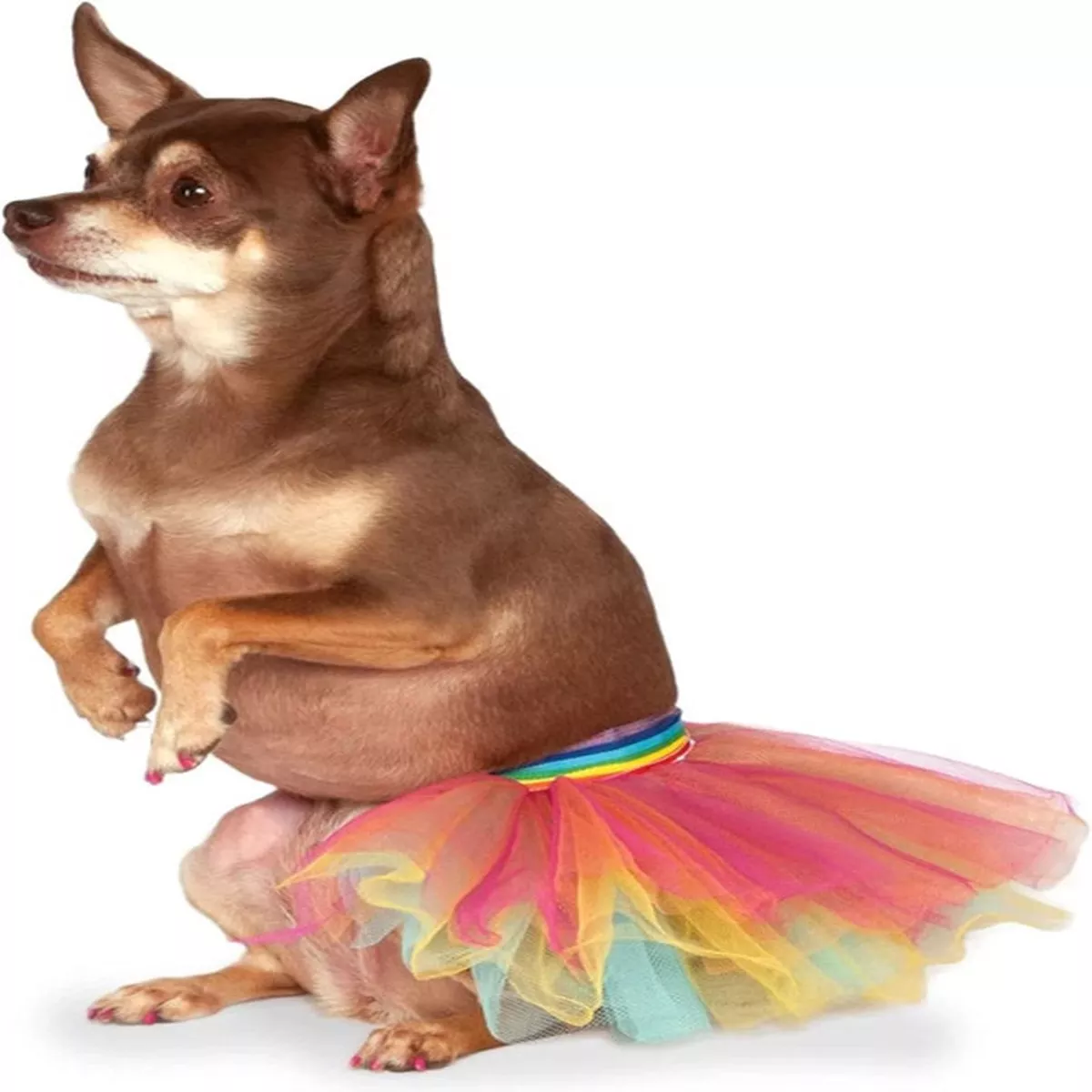 Rubie's Rainbow Pet Tutu