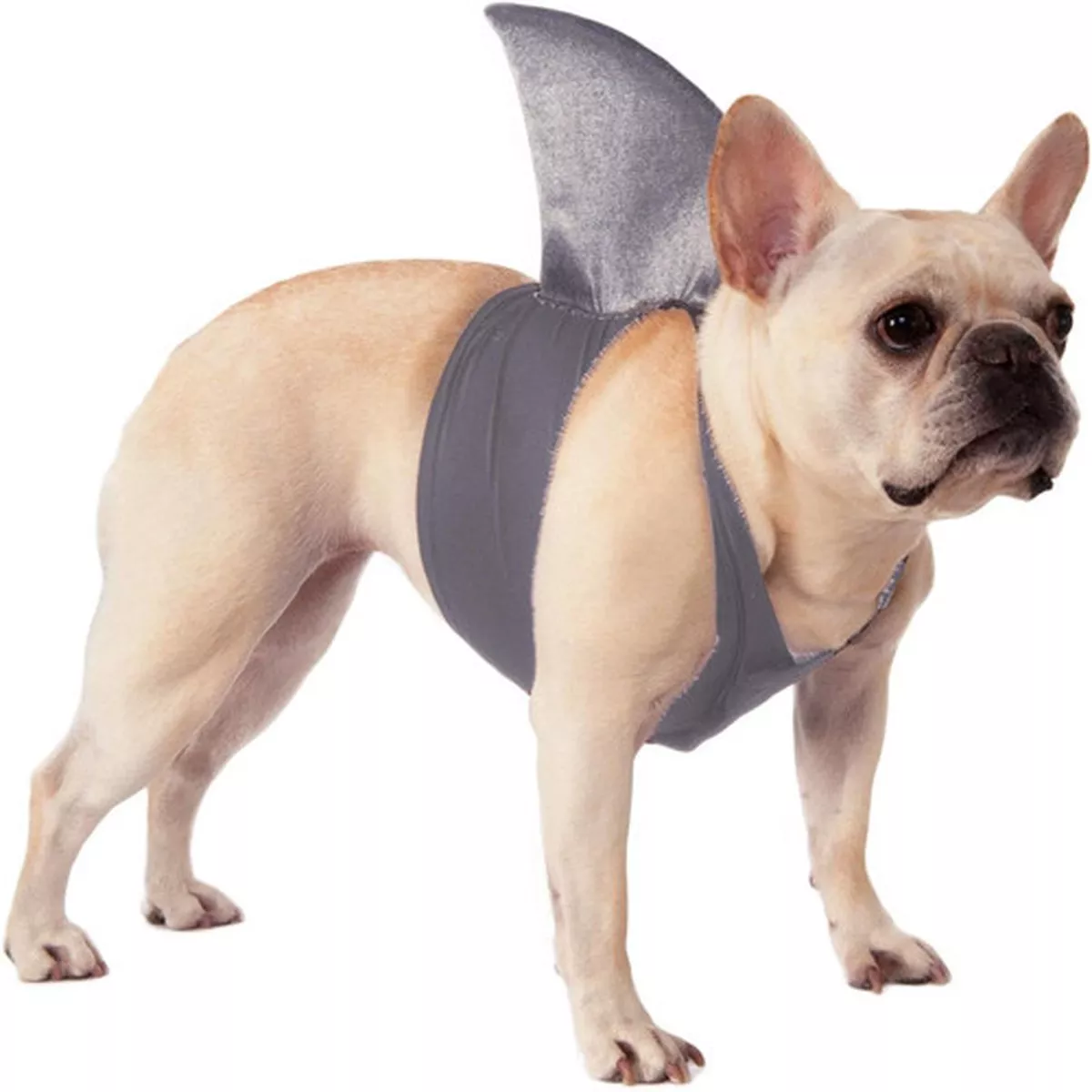 Rubie's Shark Fin Pet Costume
