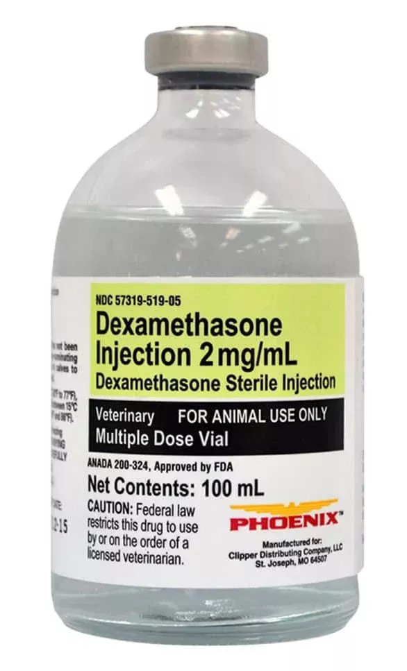 Rx Dexamethasone 2 mg/ml x 100 ml Injectable