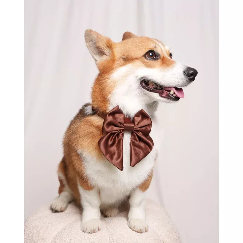 Satin Collar Bow 2.0 - Cocoa Cocoa