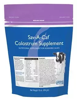 Sav-A-Caf, Colostrum Calf Supplement, 16 oz.