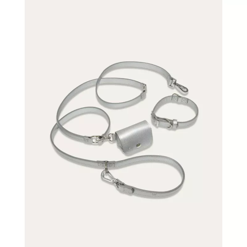 Shine Metallic Leather Collar Kit