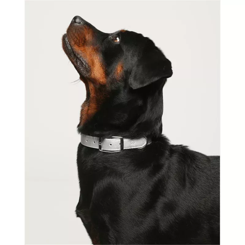 Shine Metallic Leather Collar