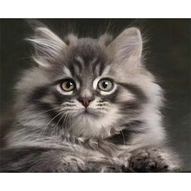 Small Cat – Transform Your Backyard into a Wildlife Oasis for All Creatures