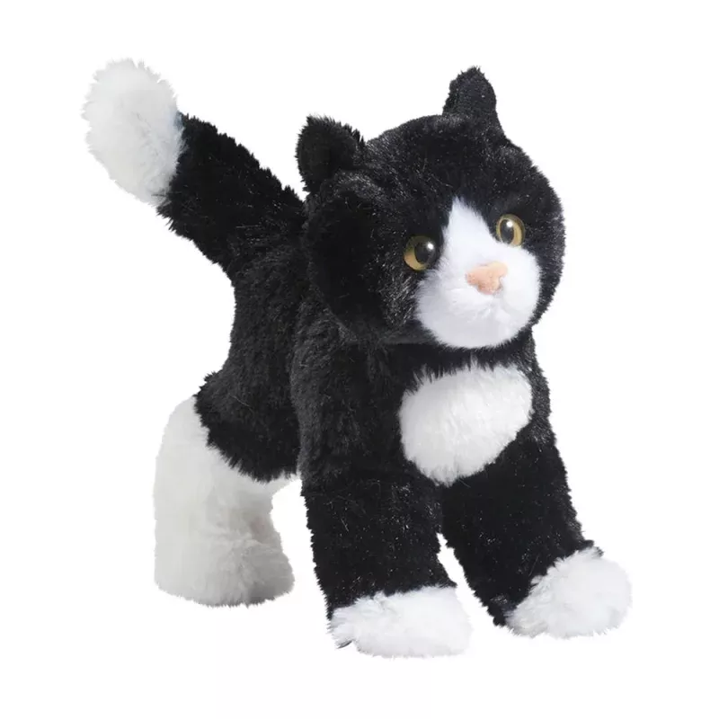 Snippy the Black & White Cat