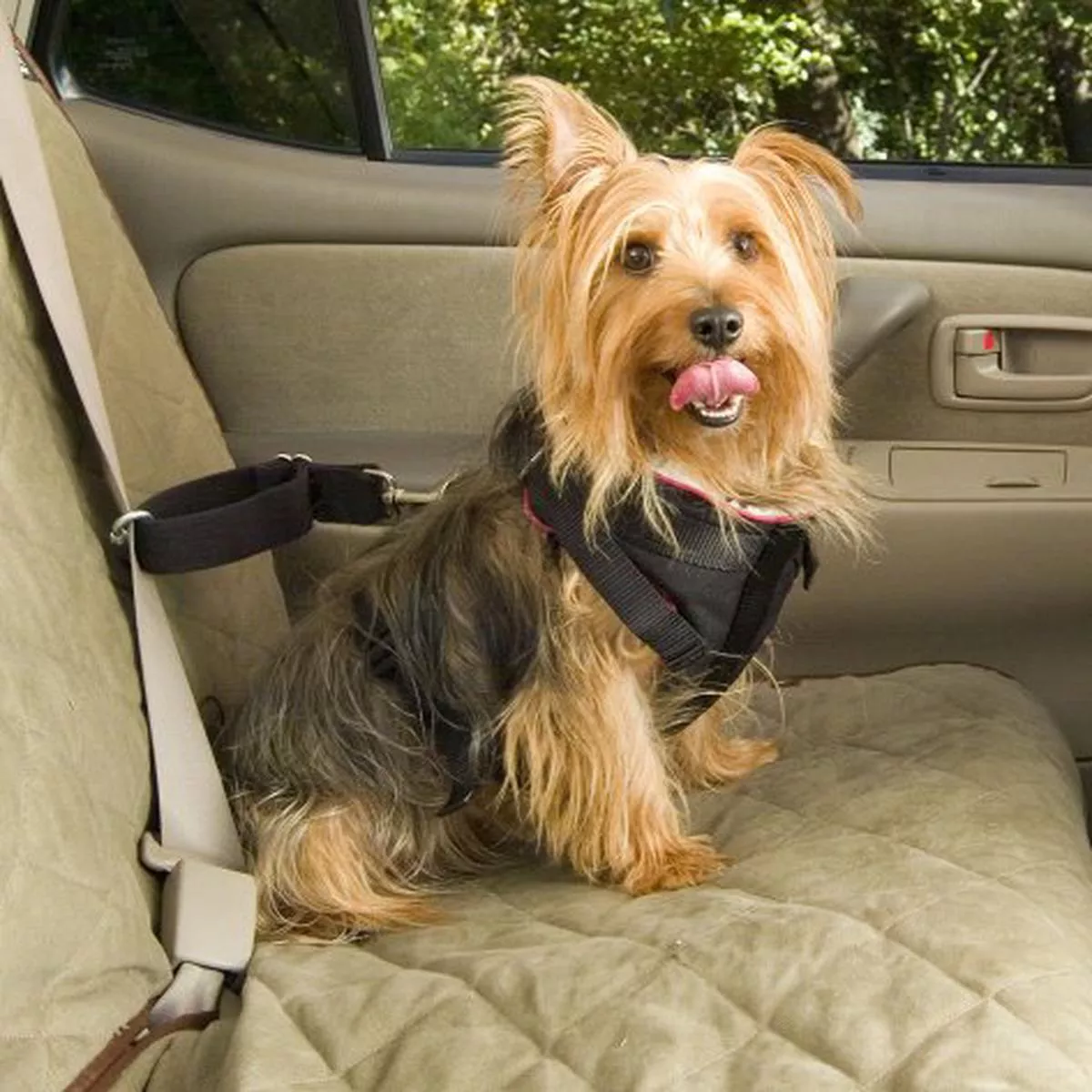 Solvit 62295 Pet Vehicle Safety Harness, Medium – Default Title