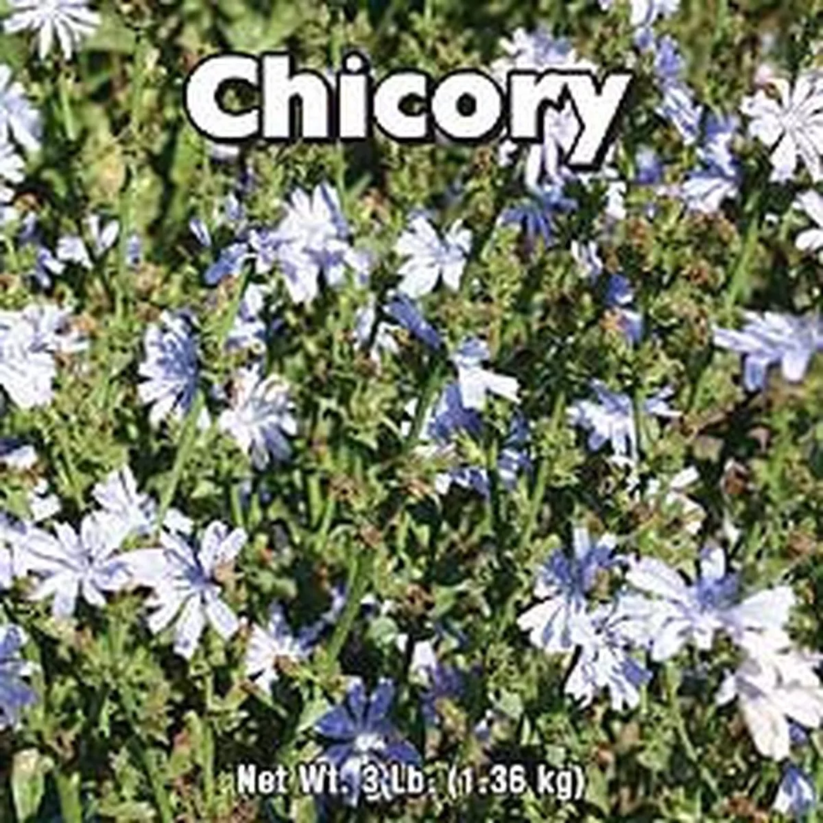 Southern States Chicory, 3 Lbs