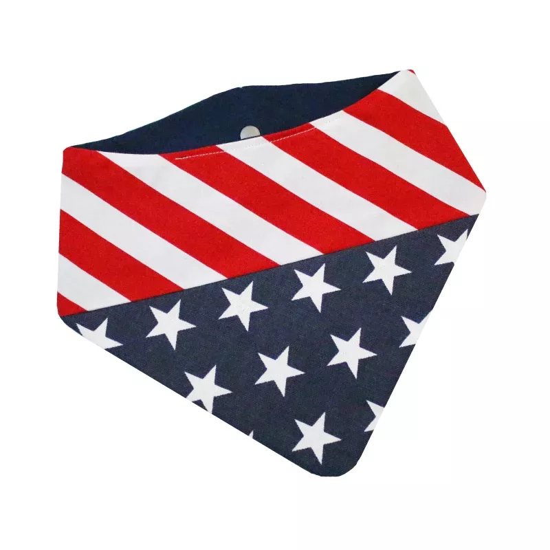 Spangled 2.0 Bandana