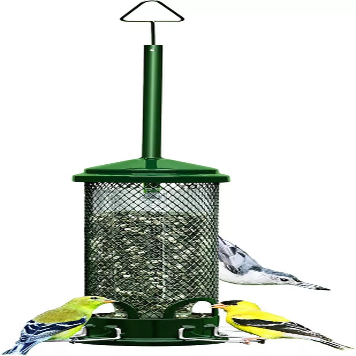 Squirrel Buster Mini Wild Bird Feeder